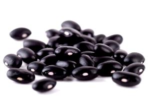 1 Cup Black Beans (Mature Seeds, with Salt, Cooked, Boiled)