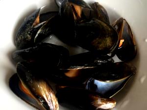 1 Cup Blue Mussels