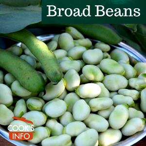 1 Cup Broad Bean, Mature, Boiled W/Salt (Fava)