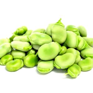 1 Cup Broadbeans (Fava Beans) (Mature Seeds, with Salt, Cooked, Boiled)