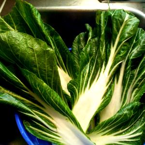 1 Cup Chinese Cabbage, Boiled, No Salt (Pak-Choi)