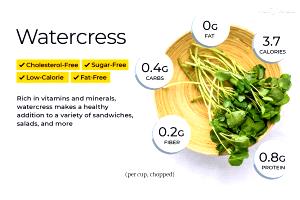 1 Cup, Chopped (34.0 G) Watercress