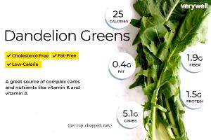 1 Cup Chopped Cooked Dandelion Greens (Fat Not Added in Cooking)