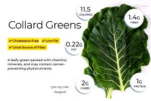 1 Cup Cooked Greens (from Fresh, Fat Not Added in Cooking)