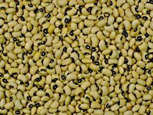 1 Cup Cowpeas (Blackeyes) (Immature Seeds, Frozen)