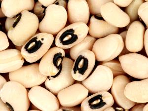 1 Cup Cowpeas (Catjang) (Mature Seeds)