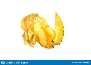 1 Cup Groundcherries (Cape-Gooseberries or Poha)