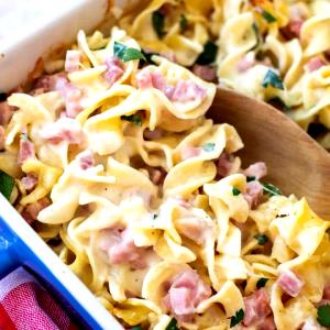 1 Cup Ham and Noodles (Mixture)