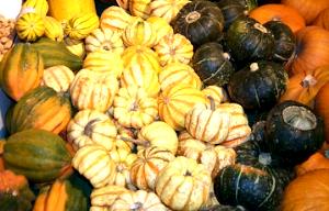 1 Cup Hubbard Mashed Winter Type Squash