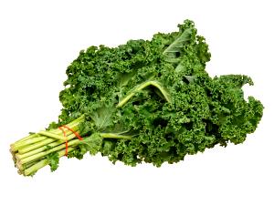 1 Cup Kale, Scotch, Boiled, No Salt