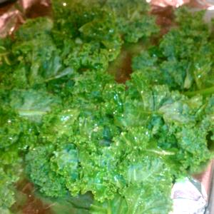 1 Cup Kale, Scotch, Boiled W/Salt