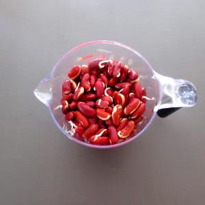 1 Cup Kidney Beans (Sprouted)