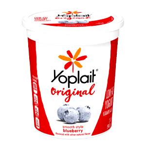 1 cup Low Fat Blueberry Yogurt