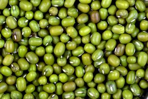 1 Cup Mung Beans (Mature Seeds, with Salt, Cooked, Boiled)