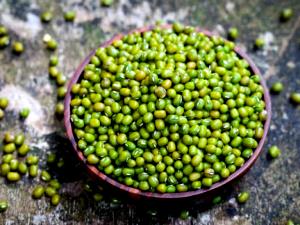 1 Cup Mungo Beans (Mature Seeds, Without Salt, Cooked, Boiled)