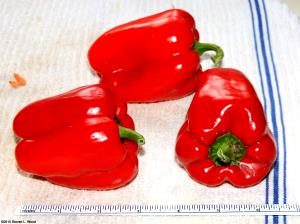 1 Cup, NFS Red Sweet Pepper