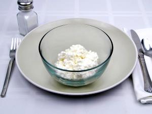 1 Cup (not Packed) Cottage Cheese (Nonfat)