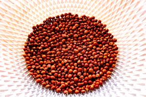 1 Cup Pigeon Pea, Raw (Red Gram)