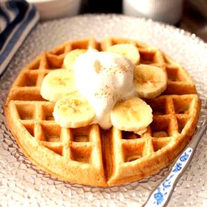 1 Cup Plain Waffle