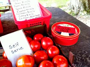 1 cup prepared Latin Selections Fiesta Tomato & Chipotle Rice