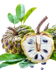 1 Cup Pulp Sugar-Apples (Sweetsop)