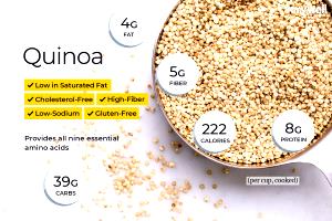 1 Cup Quinoa Grain