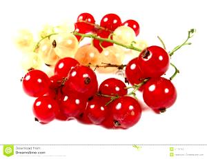 1 Cup Red and White Currants