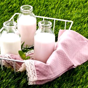 1 Cup Skim or Nonfat Milk (0.5% or Less Butterfat)