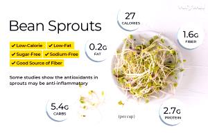 1 Cup Soybean Bean Sprouts (Soybean or Mung)