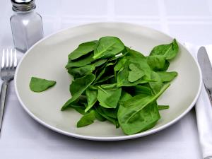 1 Cup Spinach (Drained Solids, Canned)