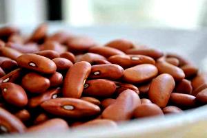 1 Cup, With Bone (yield After Bone Removed) Puerto Rican Style Stewed Pink Beans with Pig