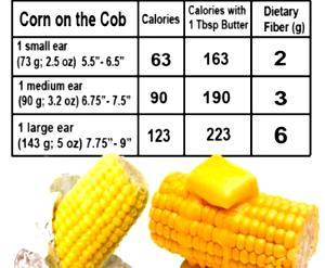 1 each (163 g) Corn on the Cob