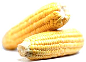 1 Ear, Medium (6-3/4" To 7-1/2" Long) Yellow Sweet Corn (Without Salt, Drained, Cooked, Boiled)