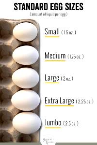 1 egg (63 g) Grade A Jumbo Eggs