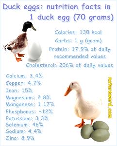 1 egg (70 g) Duck Eggs