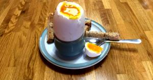 1 Egg Cooked Goose Egg