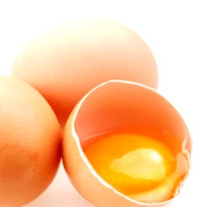 1 Egg, NS As To Size Egg Omelet or Scrambled Egg (Fat Not Added in Cooking)