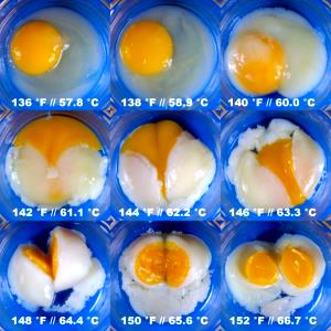 1 egg, regular (60.0 g) Egg, boiled