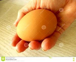 1 Extra-Large Egg, Chicken, Raw