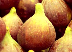 1 Fig With Liquid Figs (Solids and Liquids, Light Syrup Pack, Canned)