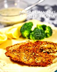 1 fillet (140 g) Macadamia Nut Tilapia