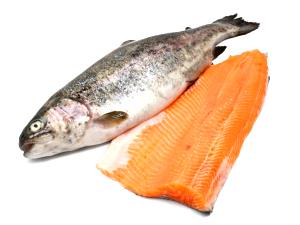 1 Fillet Trout (Mixed Species)