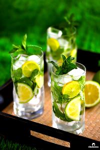 1 Fl Oz (no Ice) Virgin Mojito