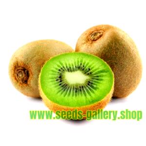 1 Fruit Without Skin, Large Chinese Gooseberries (Kiwi Fruit)