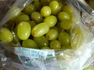 1 Grape Grapes (American Type, Slip Skin)