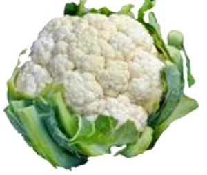 1 Head Small (4" Dia) Cauliflower