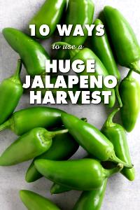 1 Jalapeno Pepper Cooked Hot Peppers (from Fresh)