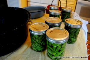 1 Jar Tender Young Green Bean, Strained