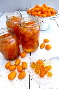 1 Kumquat Kumquat in Syrup (Cooked or Canned)