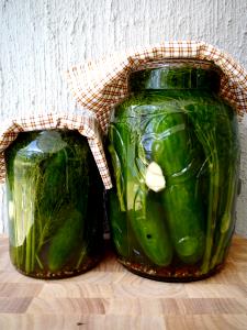 1 Large (4" Long) Dill Cucumber Pickles